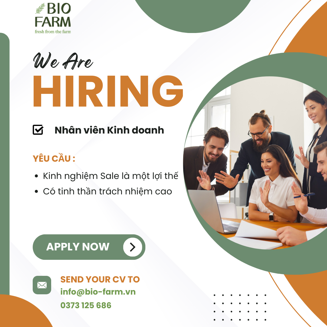 lĩnh vực hoạt động